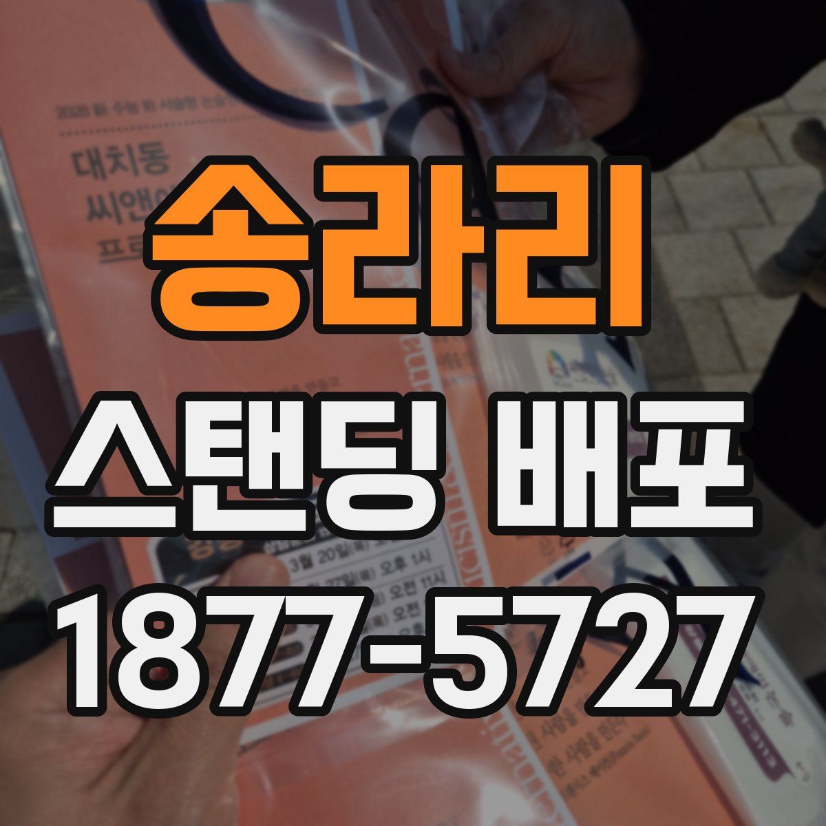 송라리 스탠딩 배포
