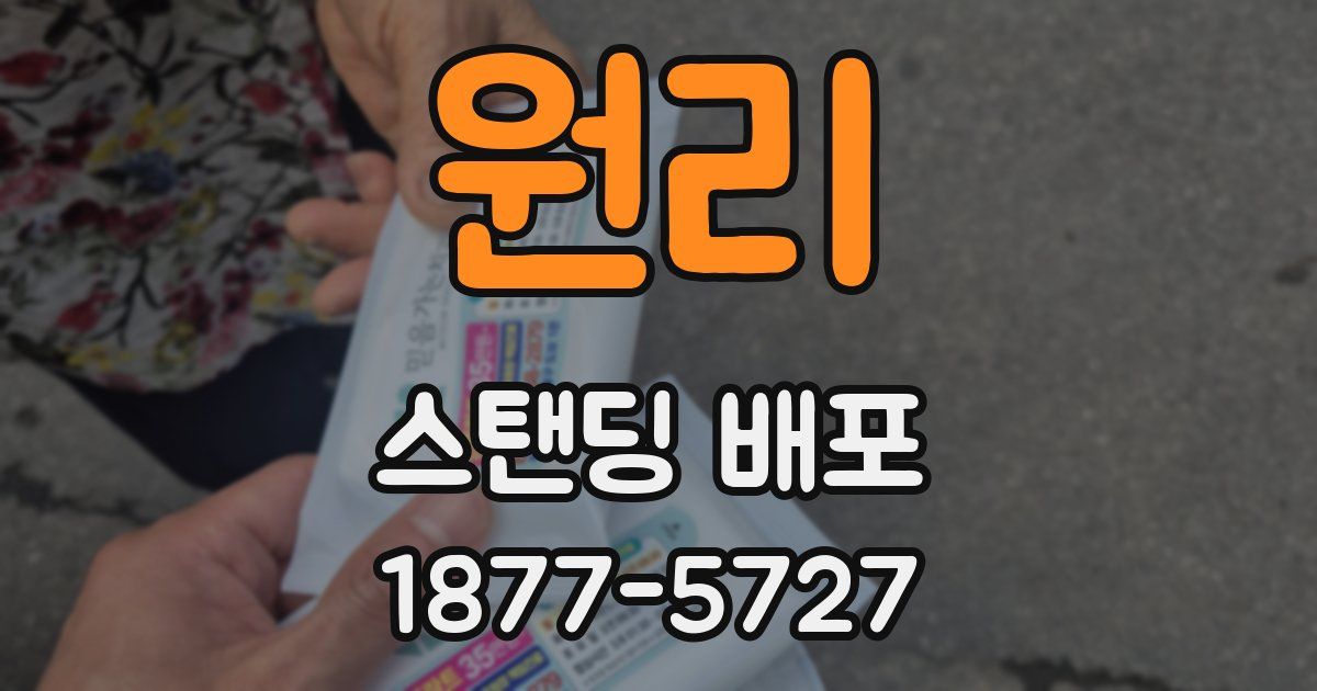 원리 스탠딩 배포