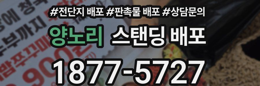 양노리 스탠딩 배포