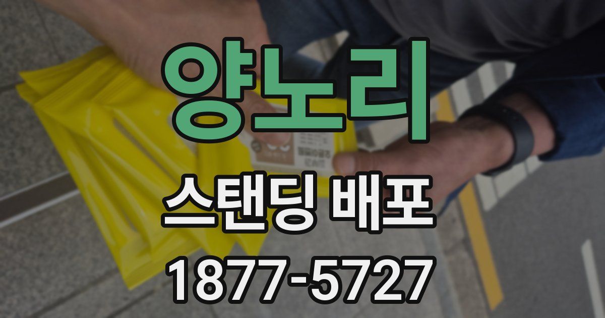 양노리 스탠딩 배포