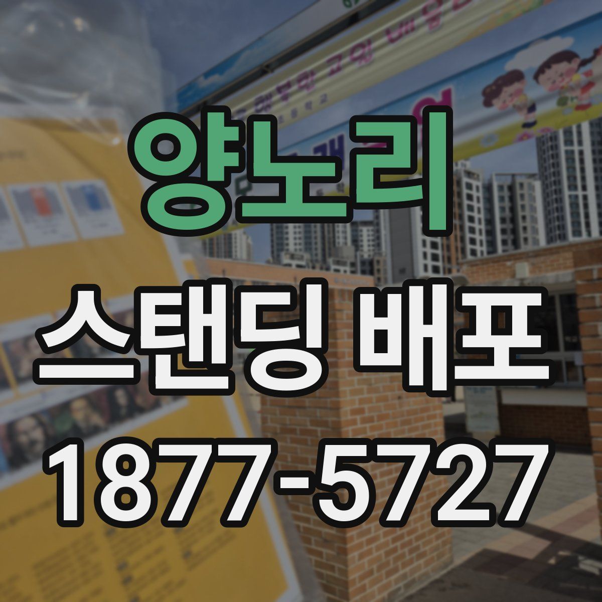 양노리 스탠딩 배포