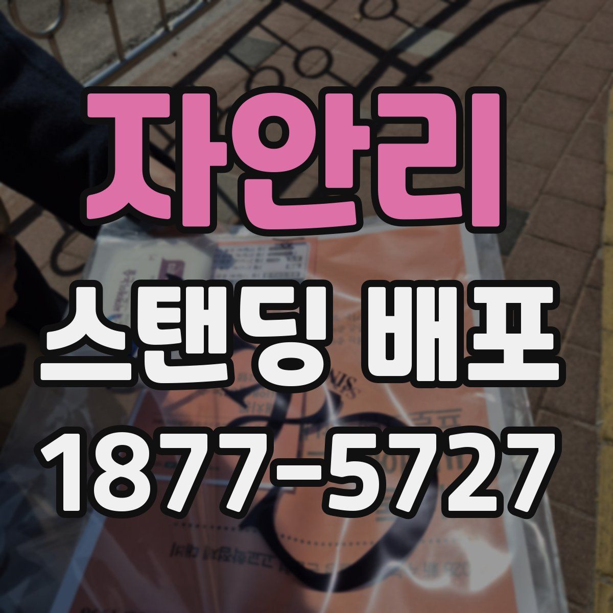 자안리 스탠딩 배포