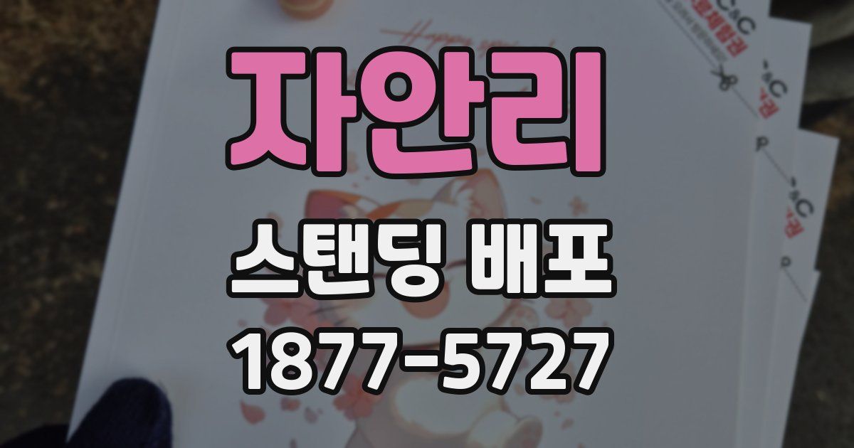 자안리 스탠딩 배포