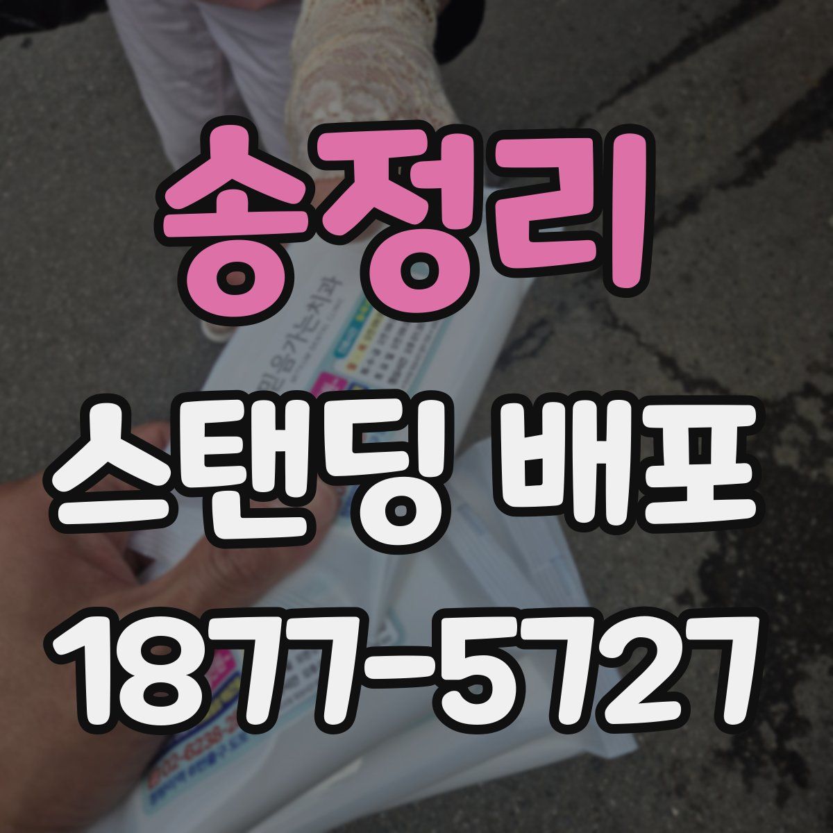 송정리 스탠딩 배포