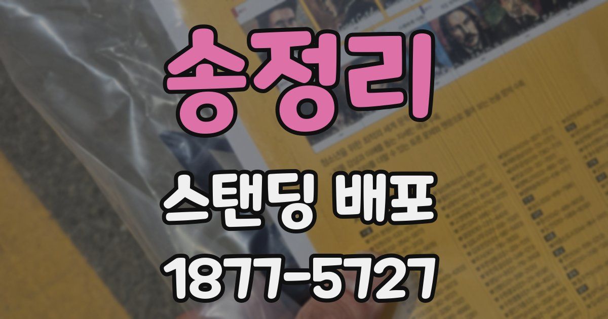 송정리 스탠딩 배포