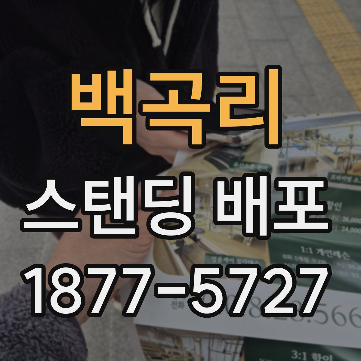 백곡리 스탠딩 배포