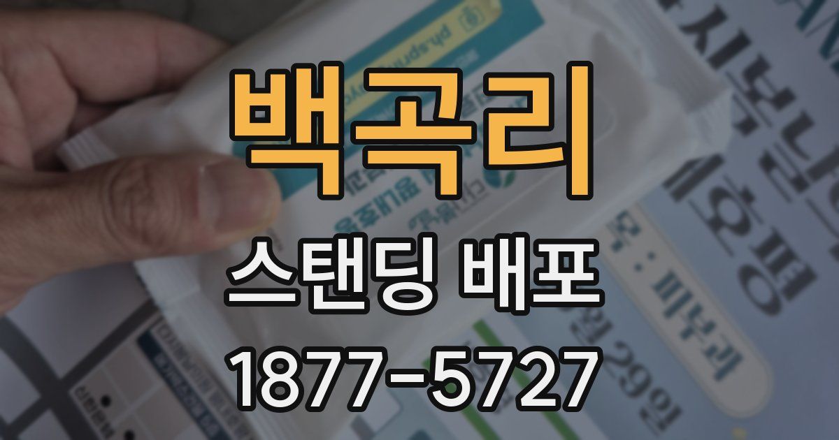 백곡리 스탠딩 배포