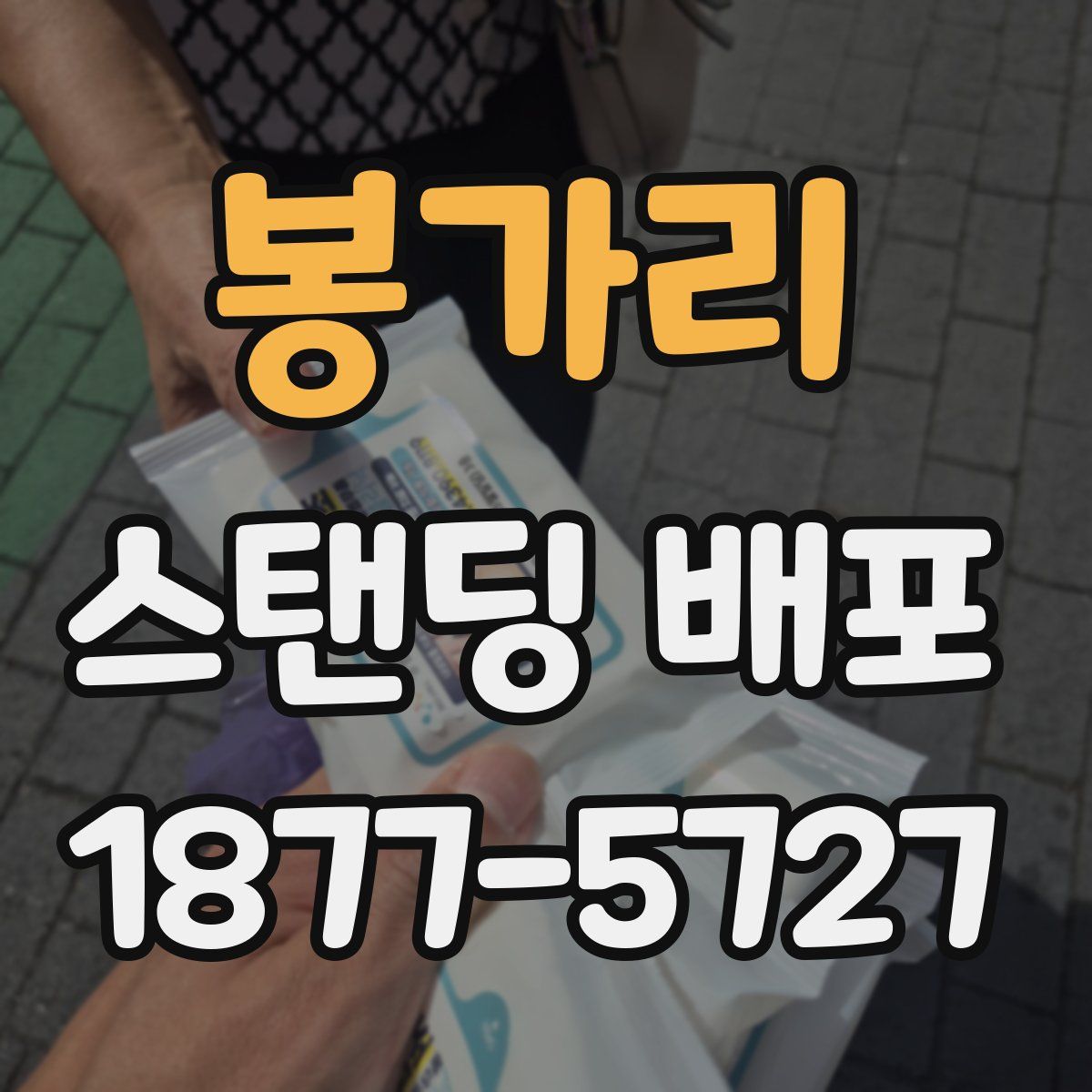 봉가리 스탠딩 배포