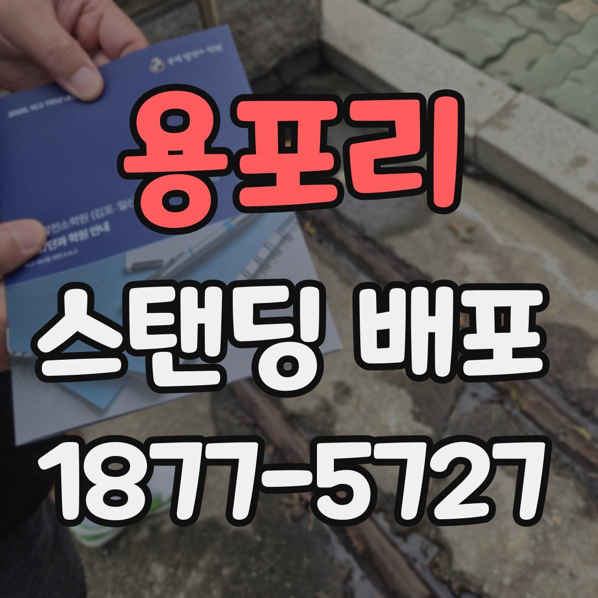 용포리 스탠딩 배포