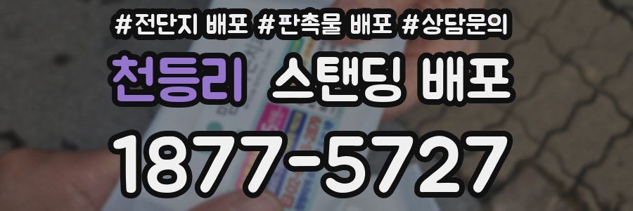 천등리 스탠딩 배포