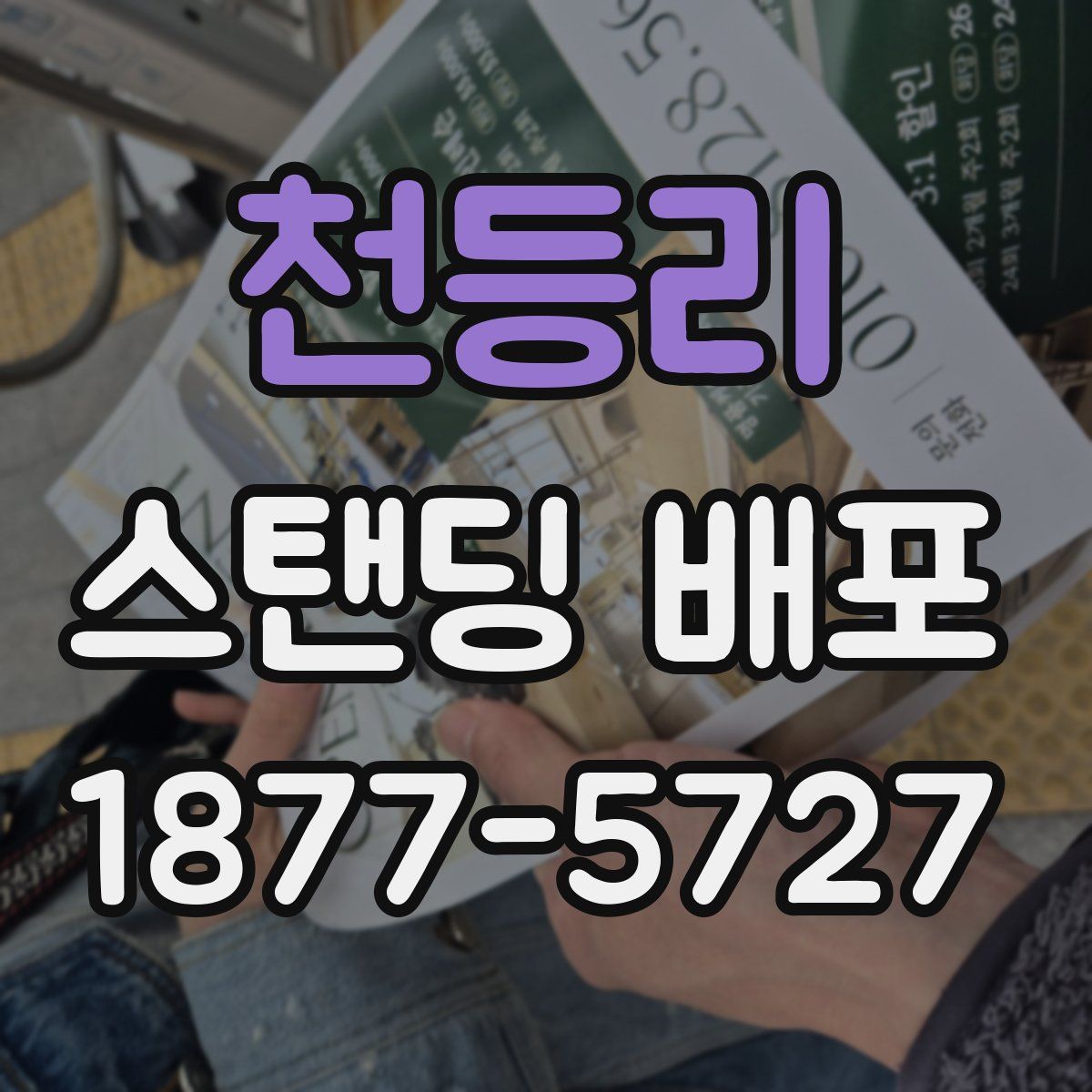 천등리 스탠딩 배포