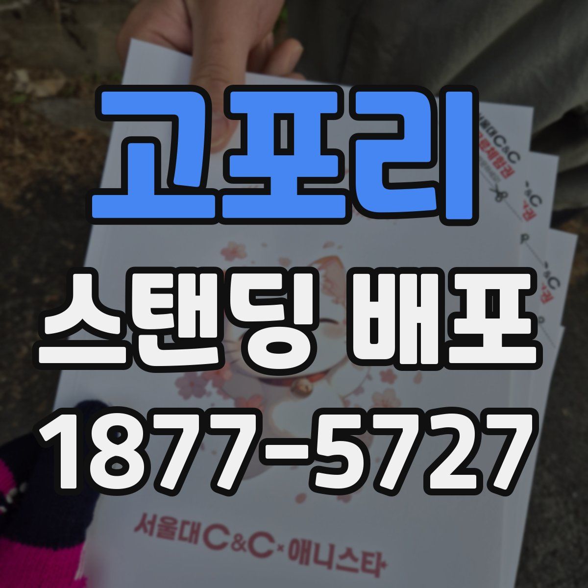 고포리 스탠딩 배포