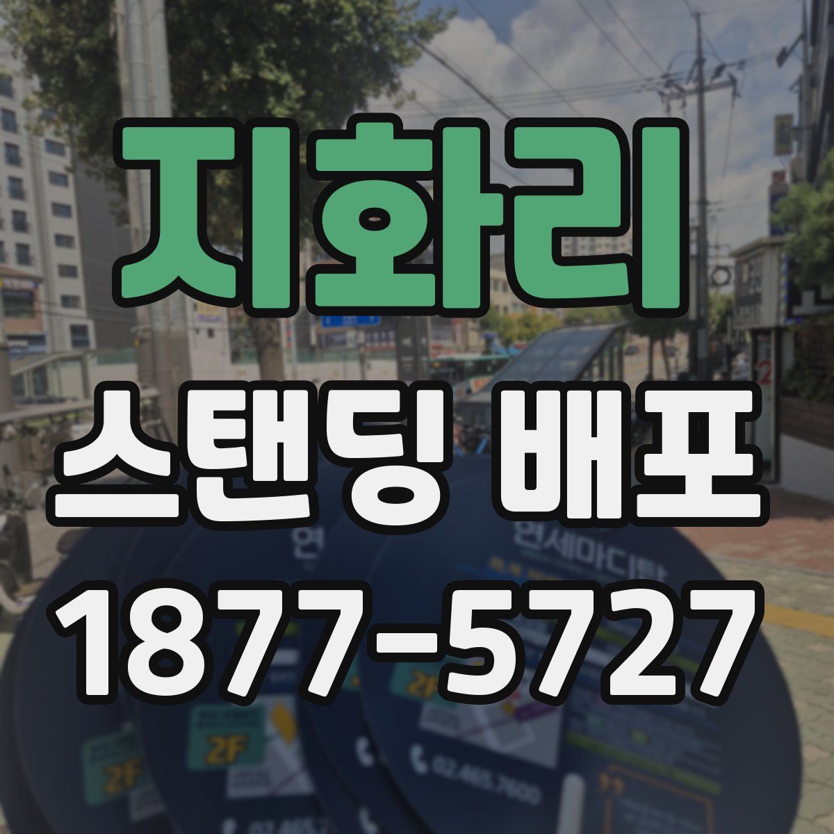지화리 스탠딩 배포