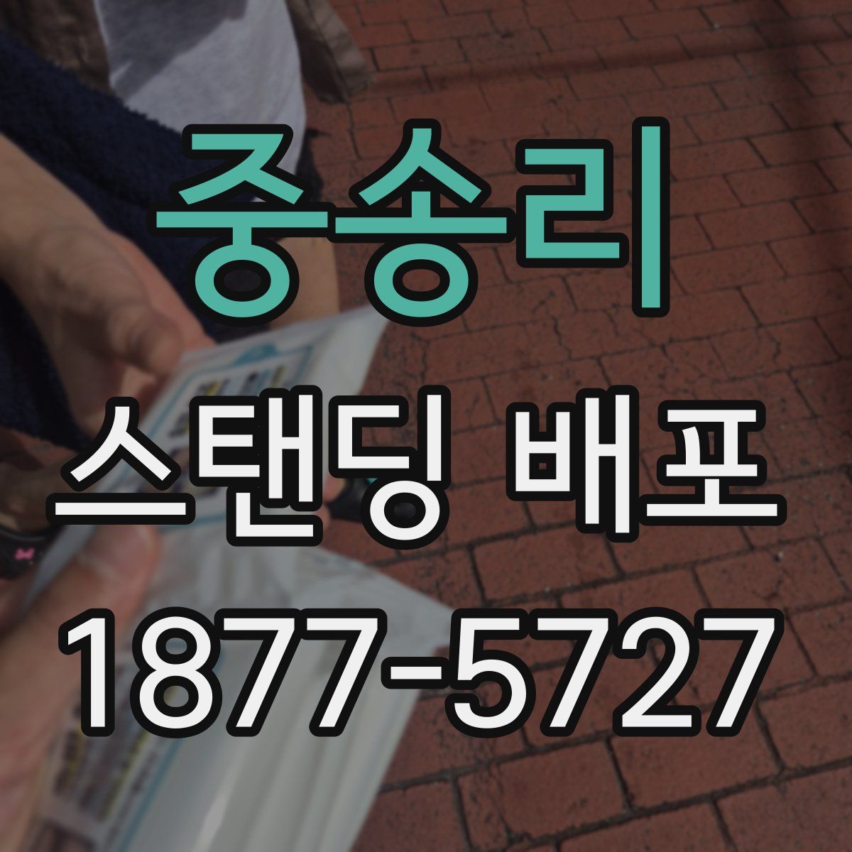 중송리 스탠딩 배포