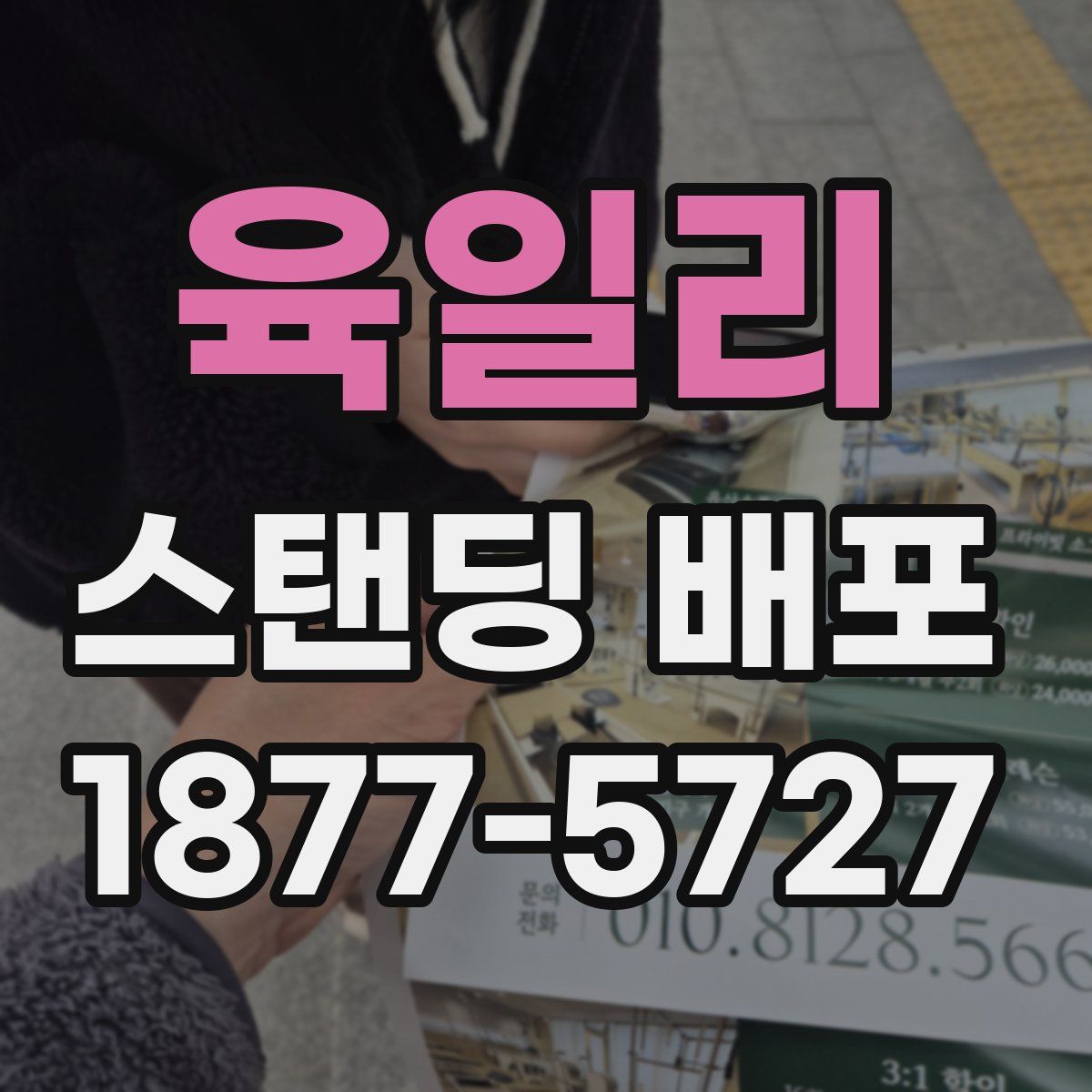 육일리 스탠딩 배포