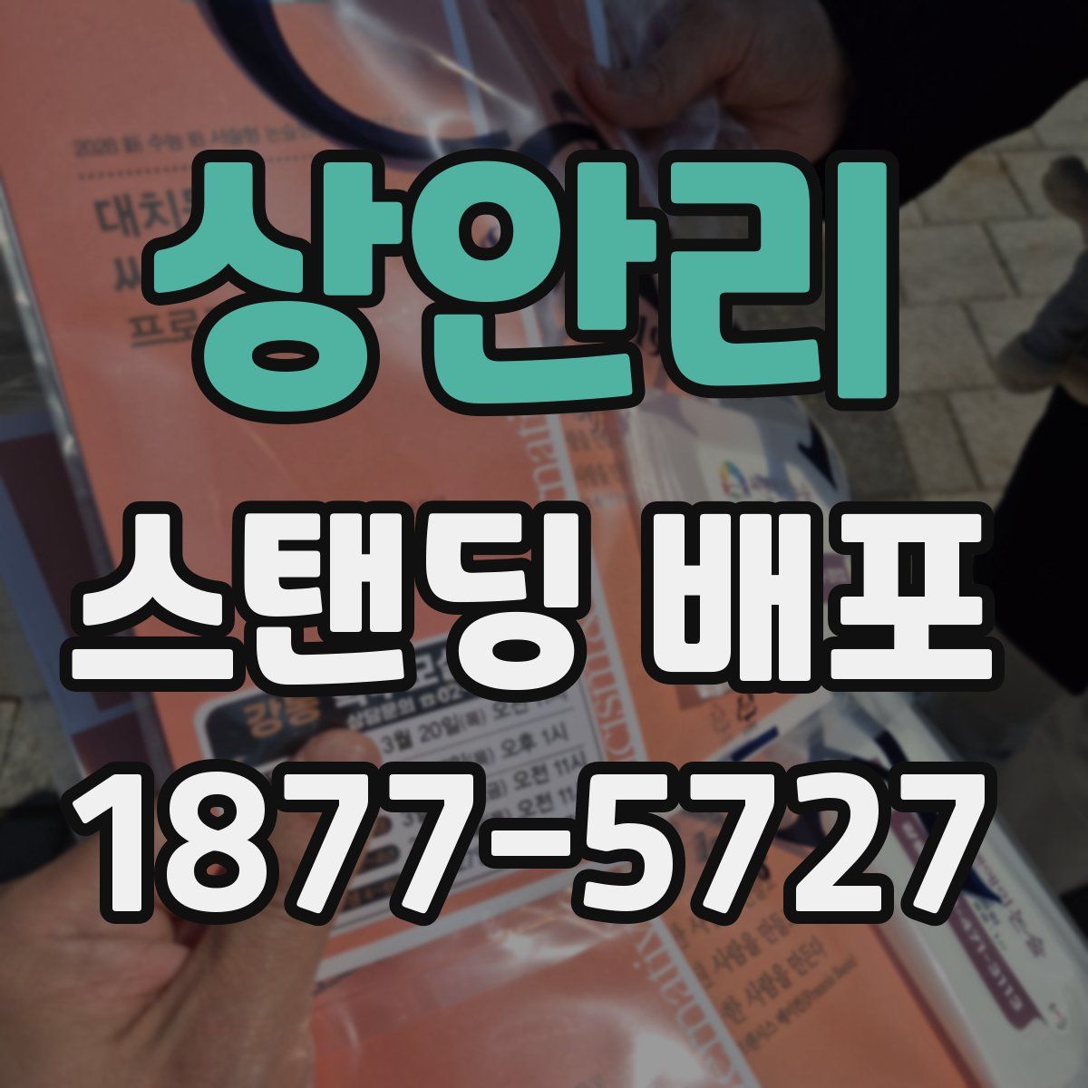 상안리 스탠딩 배포