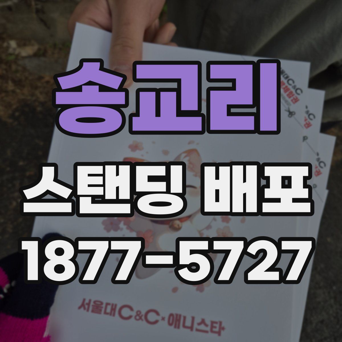 송교리 스탠딩 배포