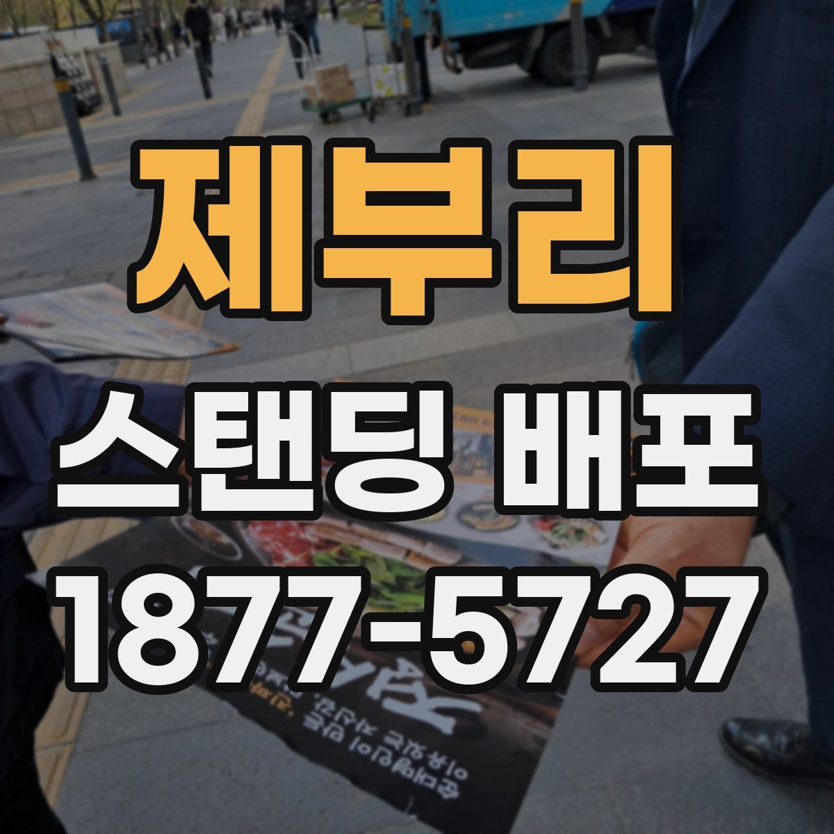 제부리 스탠딩 배포