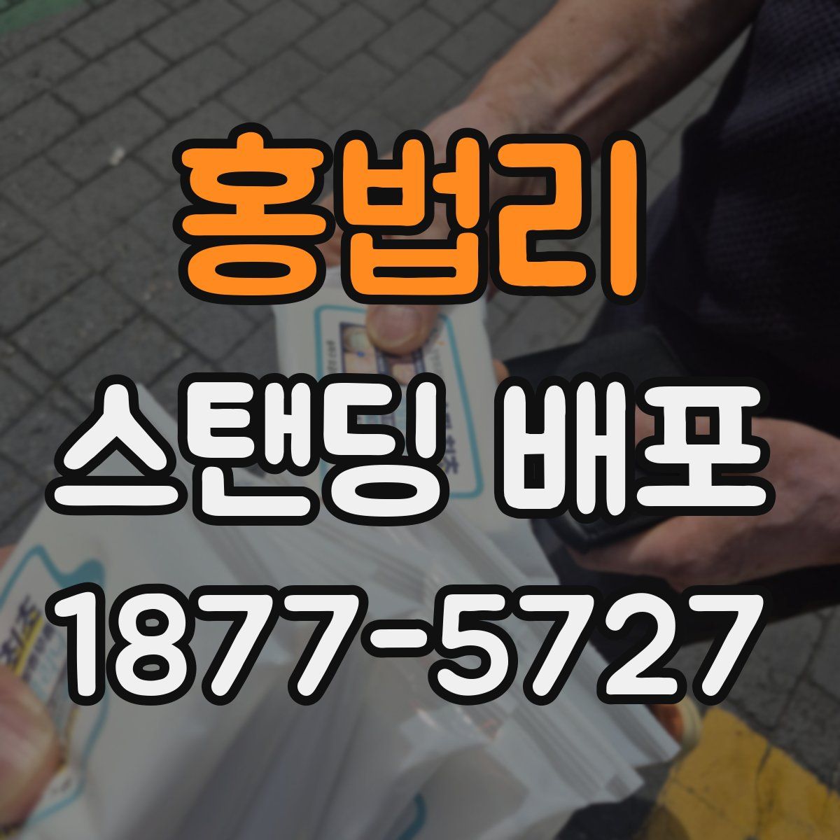 홍법리 스탠딩 배포