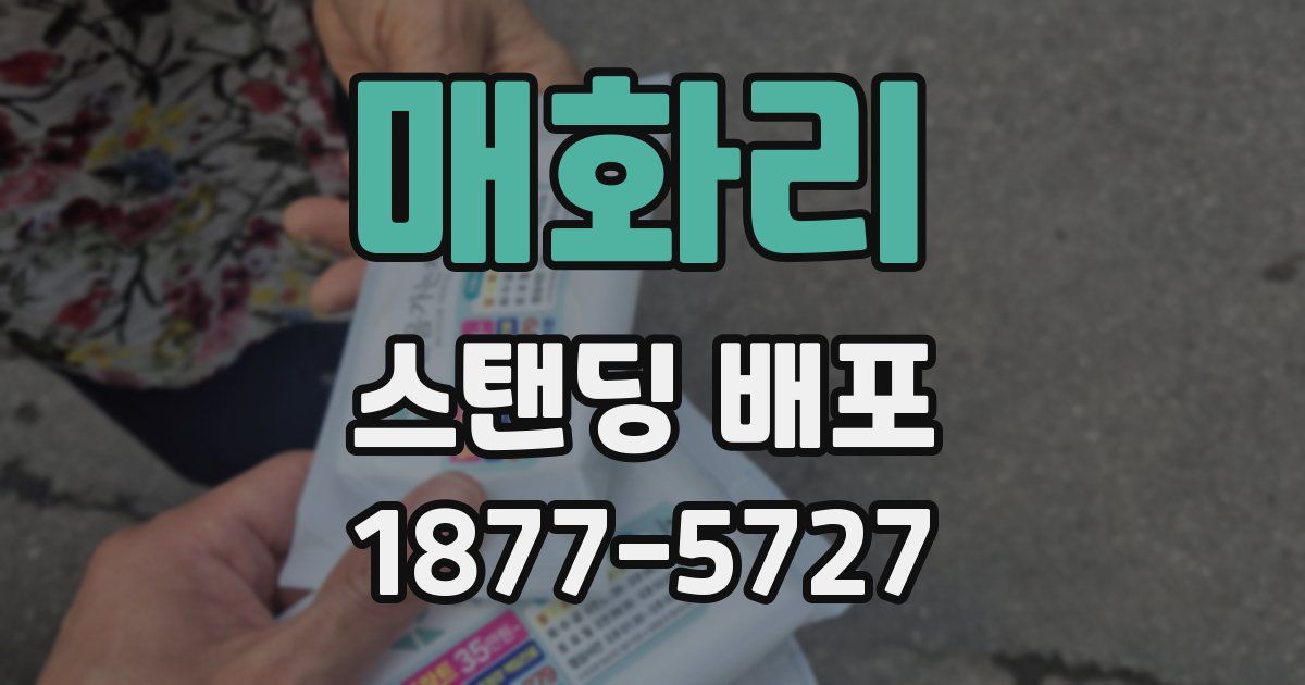 매화리 스탠딩 배포