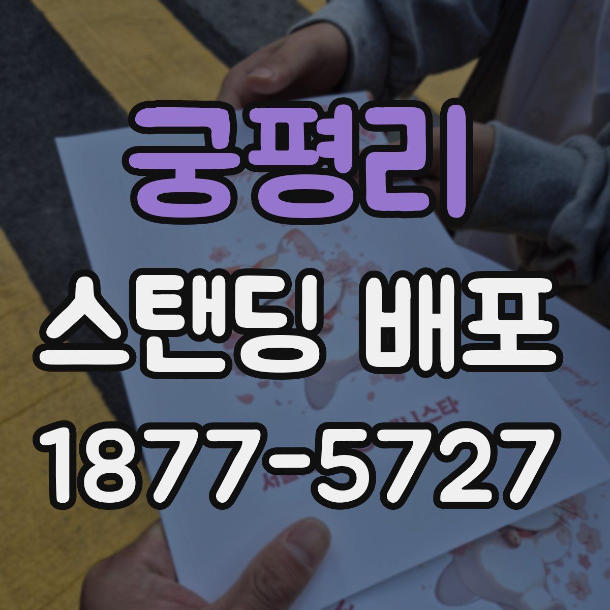 궁평리 스탠딩 배포