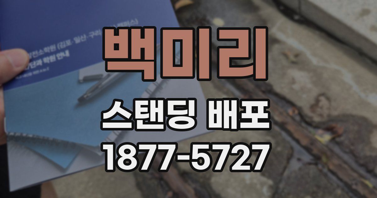백미리 스탠딩 배포