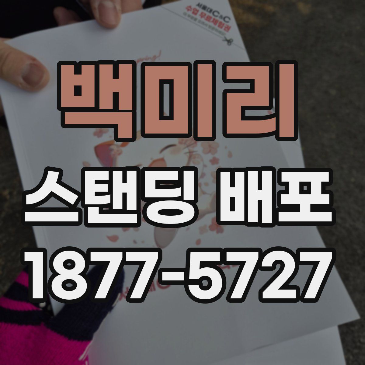 백미리 스탠딩 배포