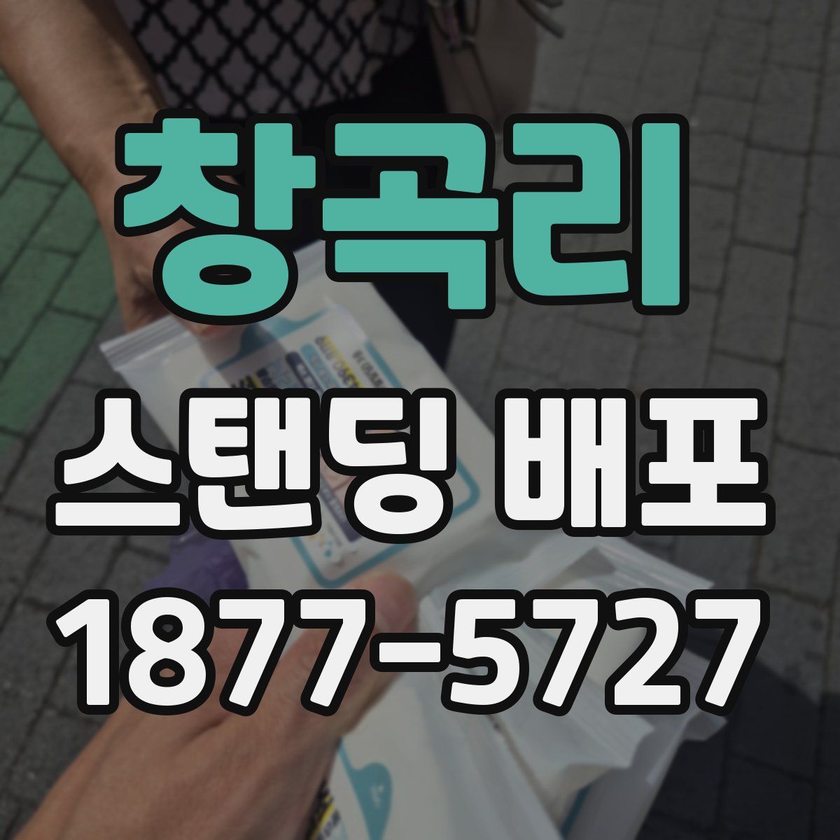 창곡리 스탠딩 배포