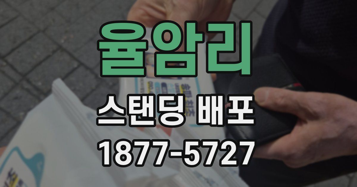 율암리 스탠딩 배포