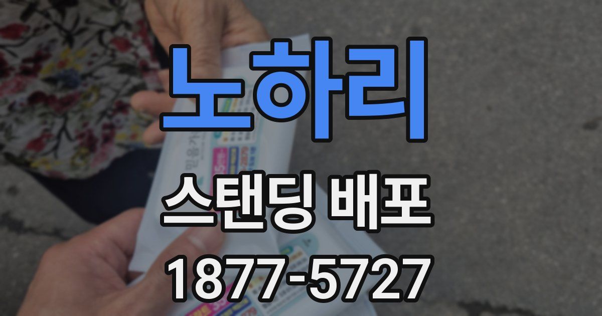 노하리 스탠딩 배포