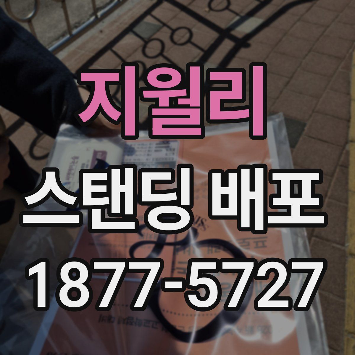 지월리 스탠딩 배포
