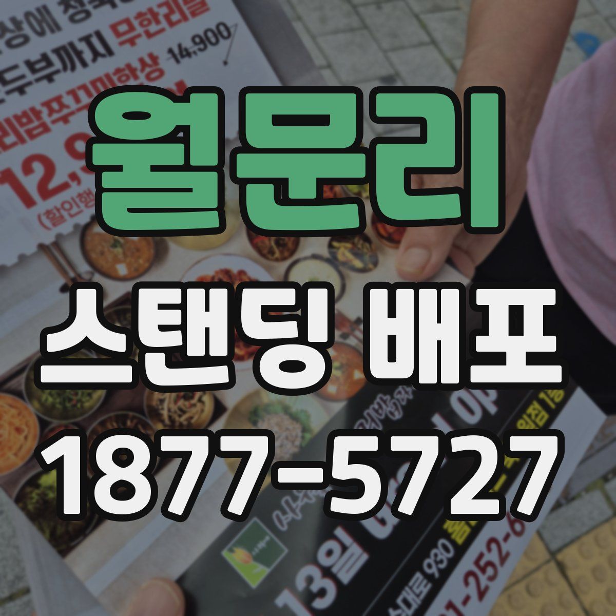 월문리 스탠딩 배포