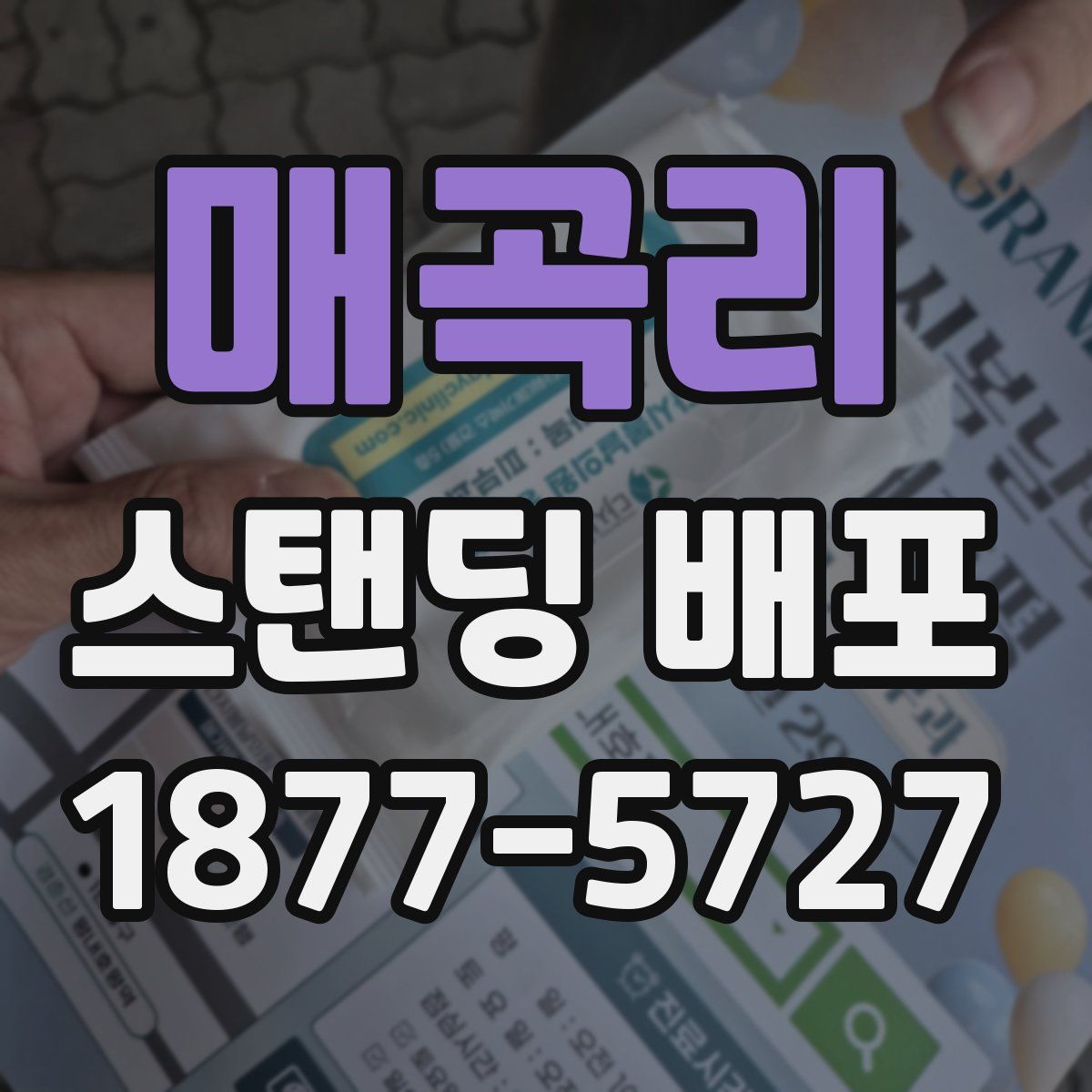 매곡리 스탠딩 배포