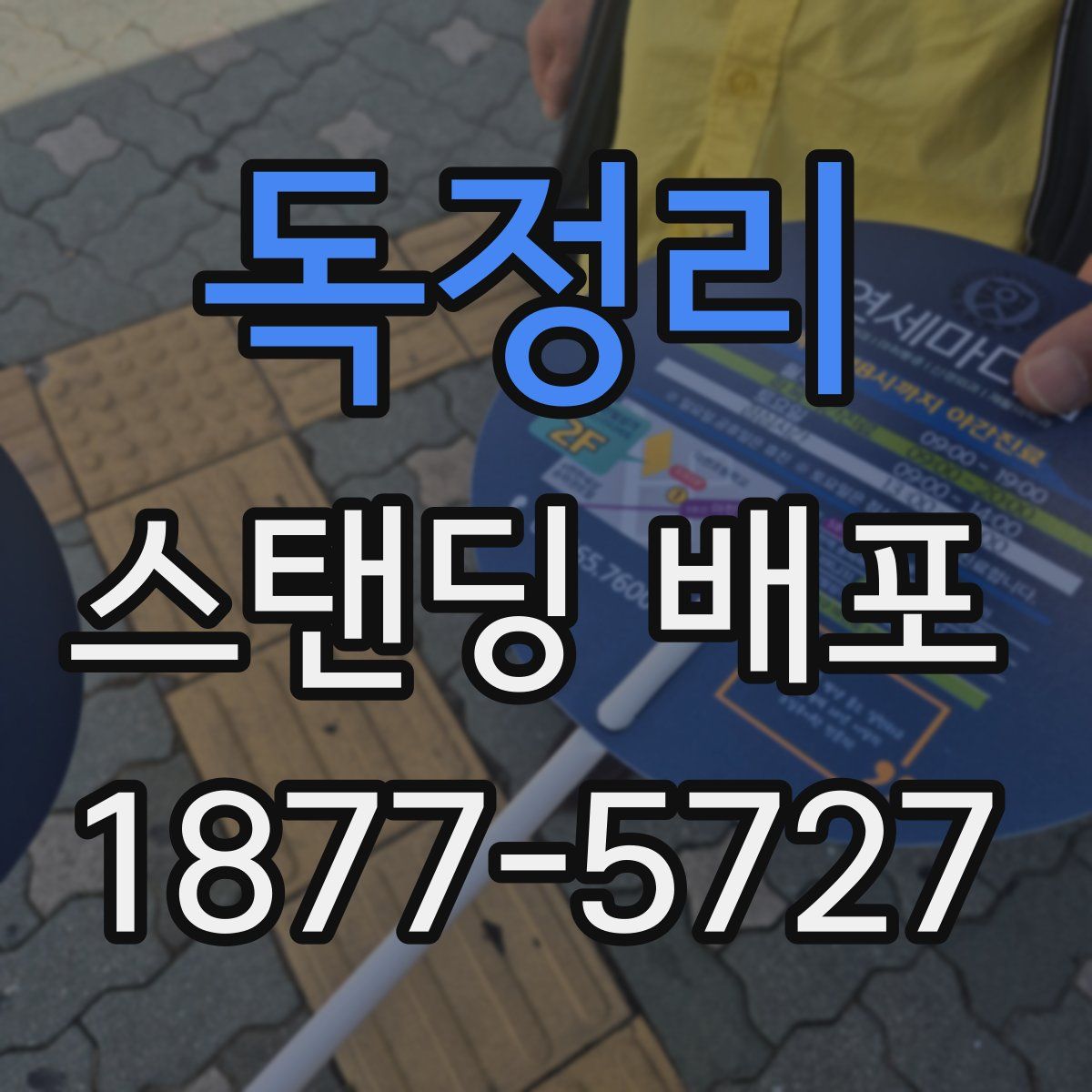 독정리 스탠딩 배포
