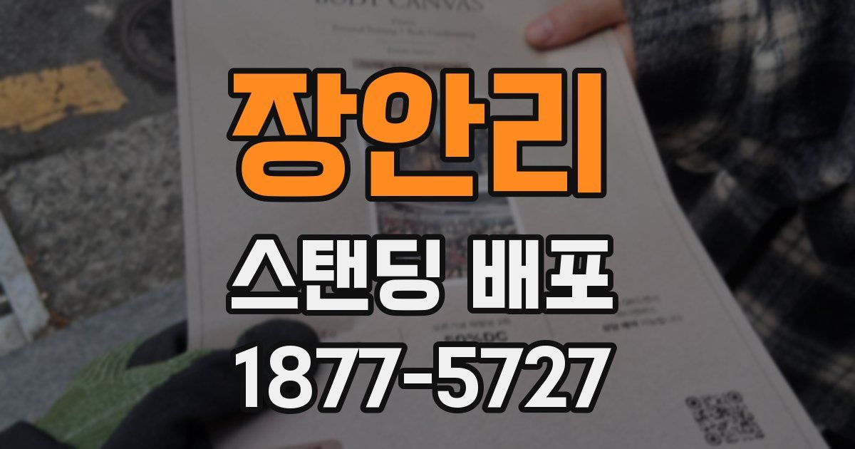 장안리 스탠딩 배포