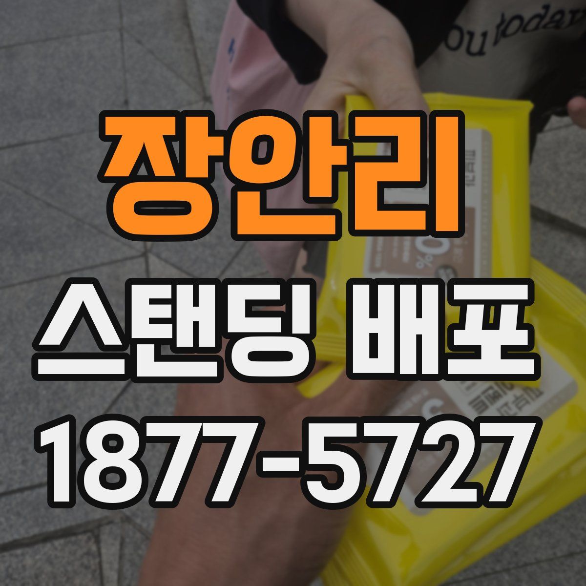 장안리 스탠딩 배포