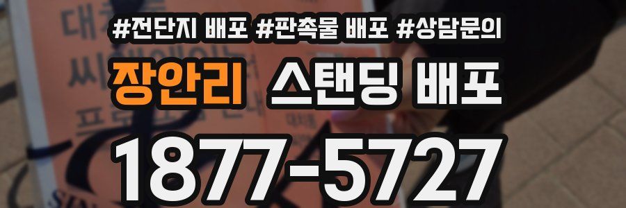장안리 스탠딩 배포