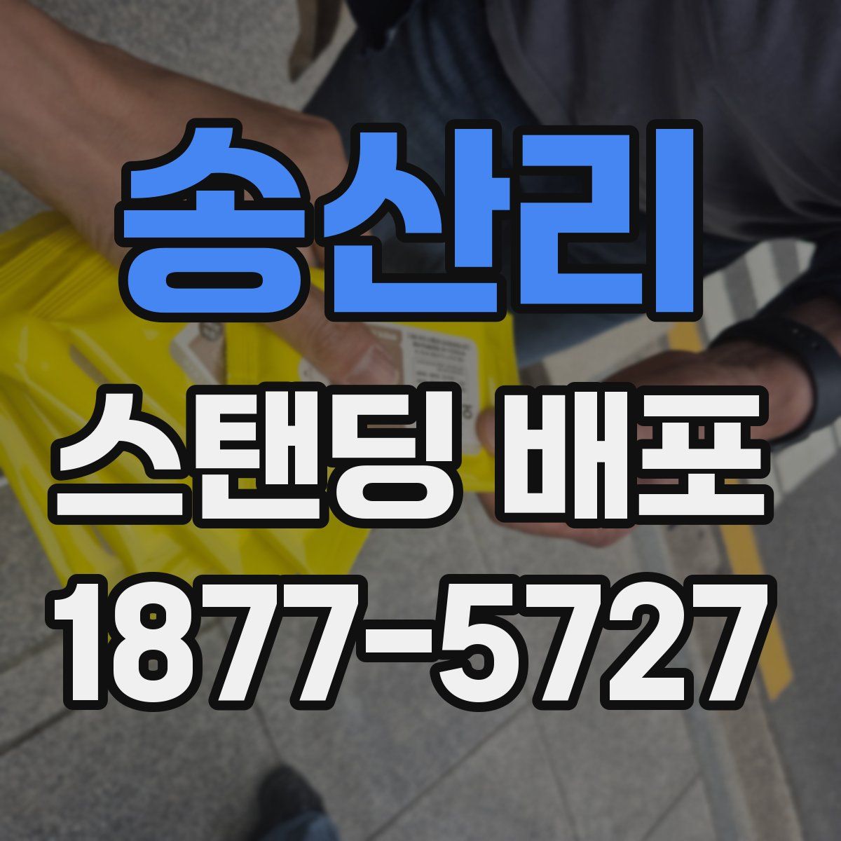 송산리 스탠딩 배포