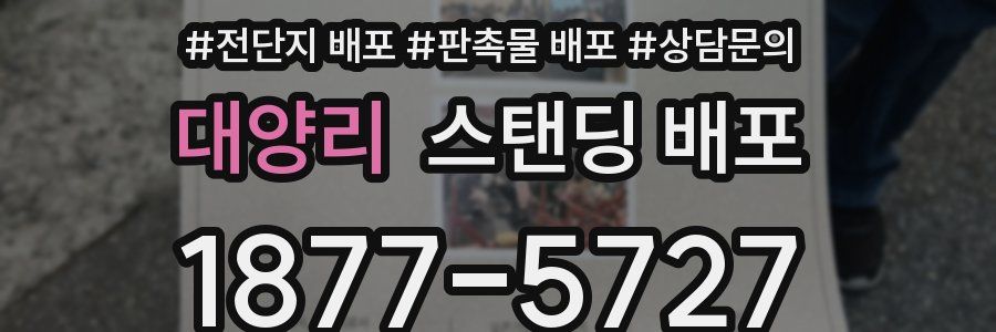 대양리 스탠딩 배포