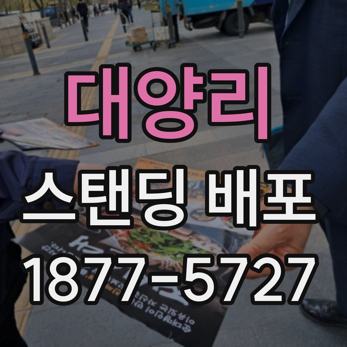 대양리 스탠딩 배포