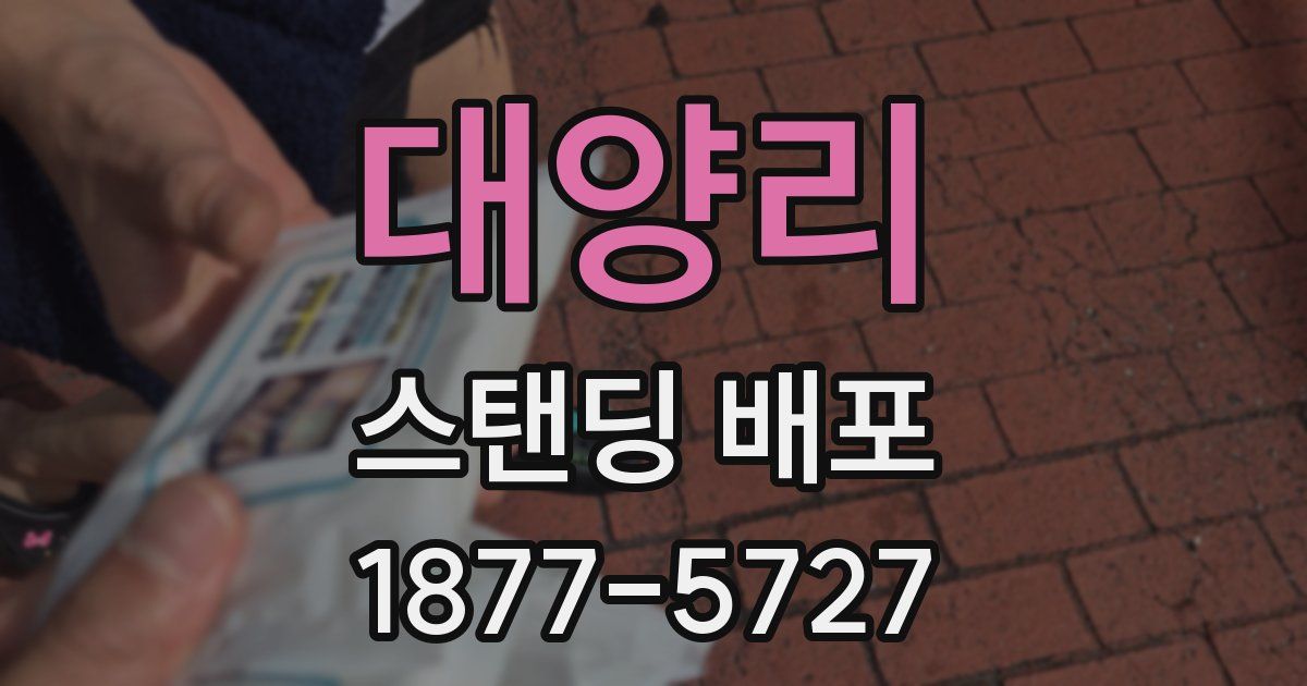 대양리 스탠딩 배포