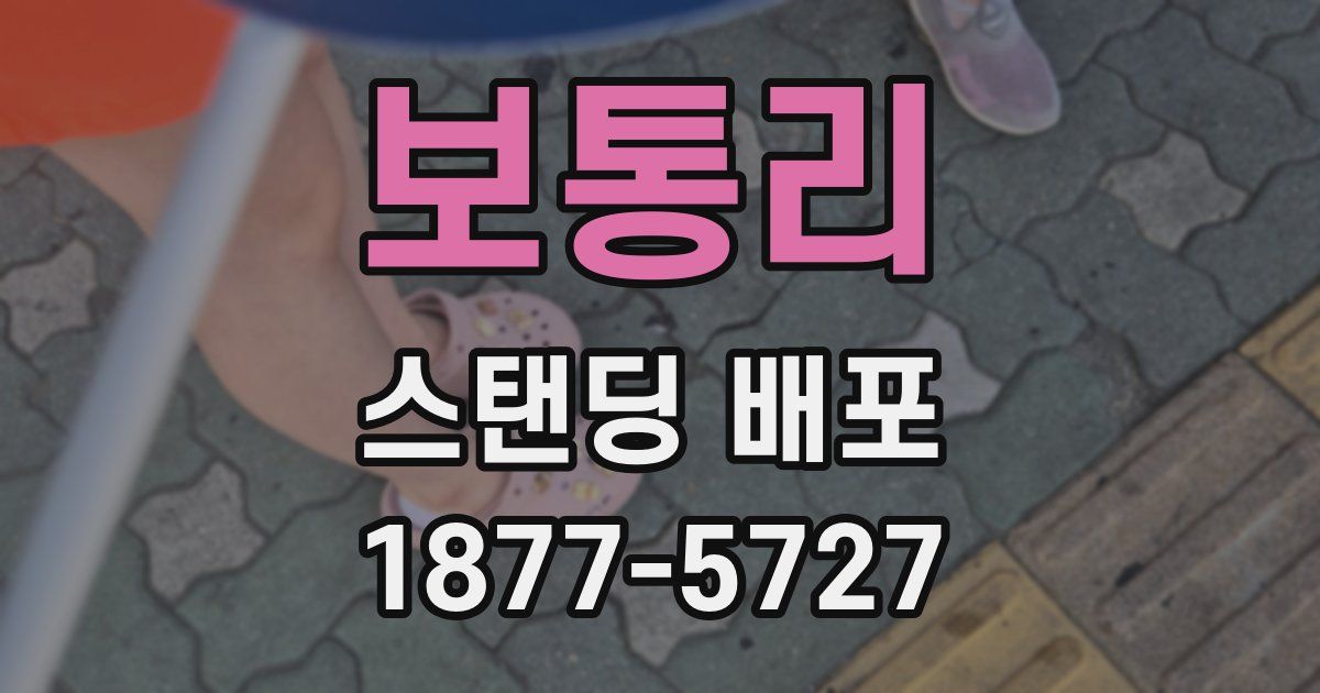 보통리 스탠딩 배포