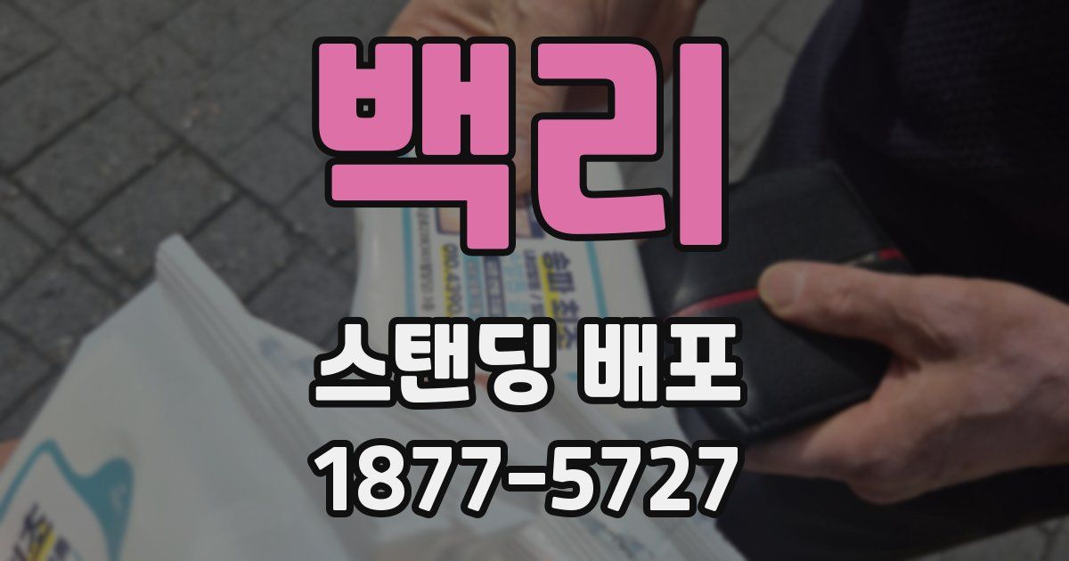백리 스탠딩 배포