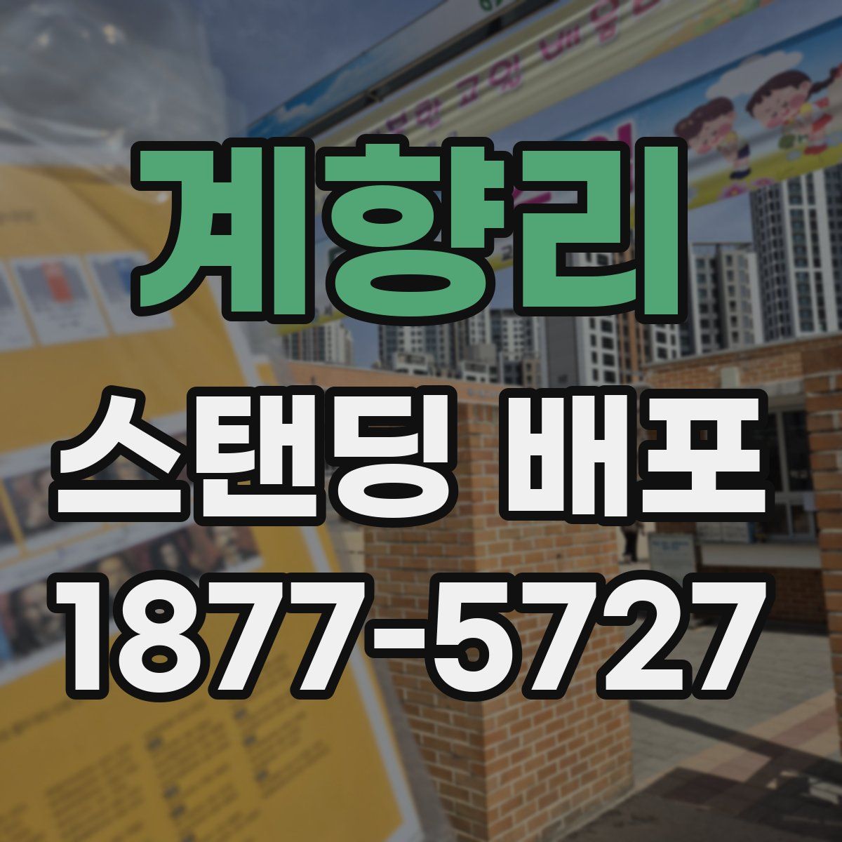 계향리 스탠딩 배포