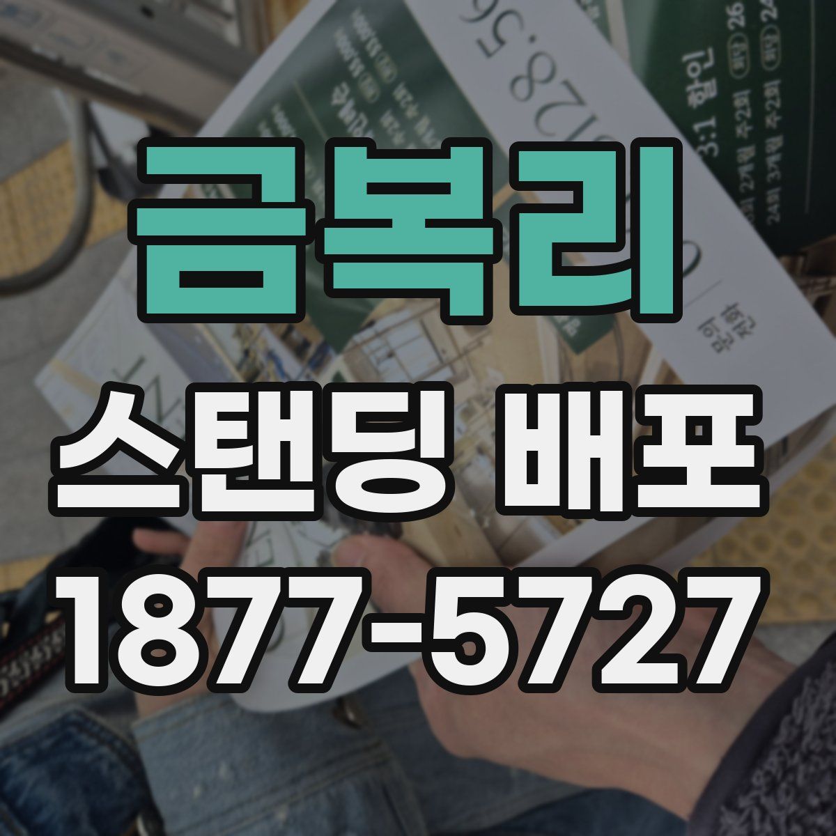 금복리 스탠딩 배포