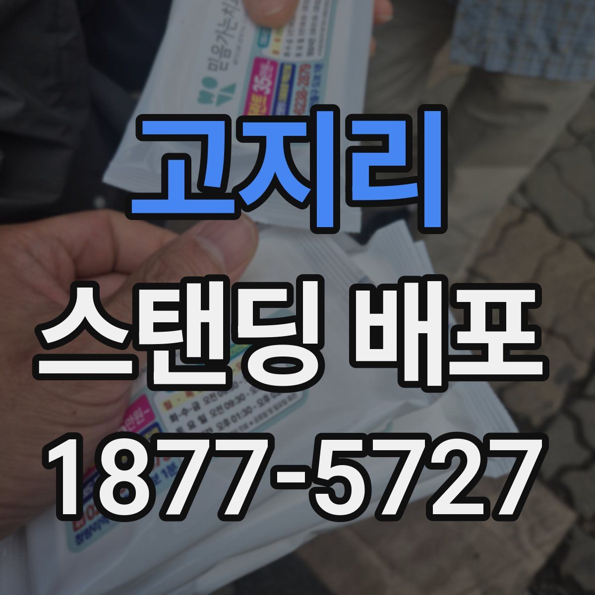 고지리 스탠딩 배포