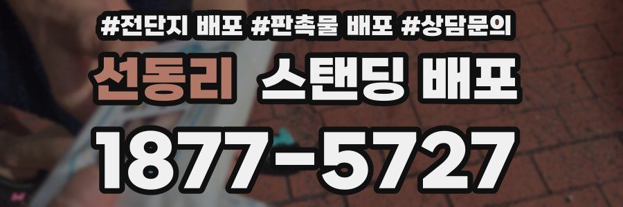 선동리 스탠딩 배포