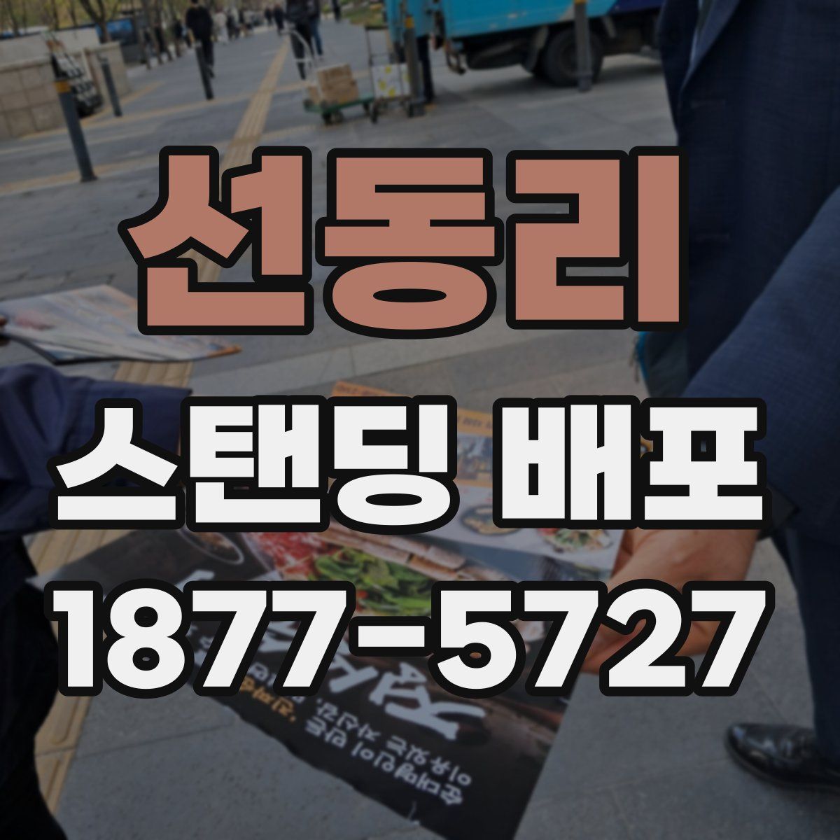 선동리 스탠딩 배포