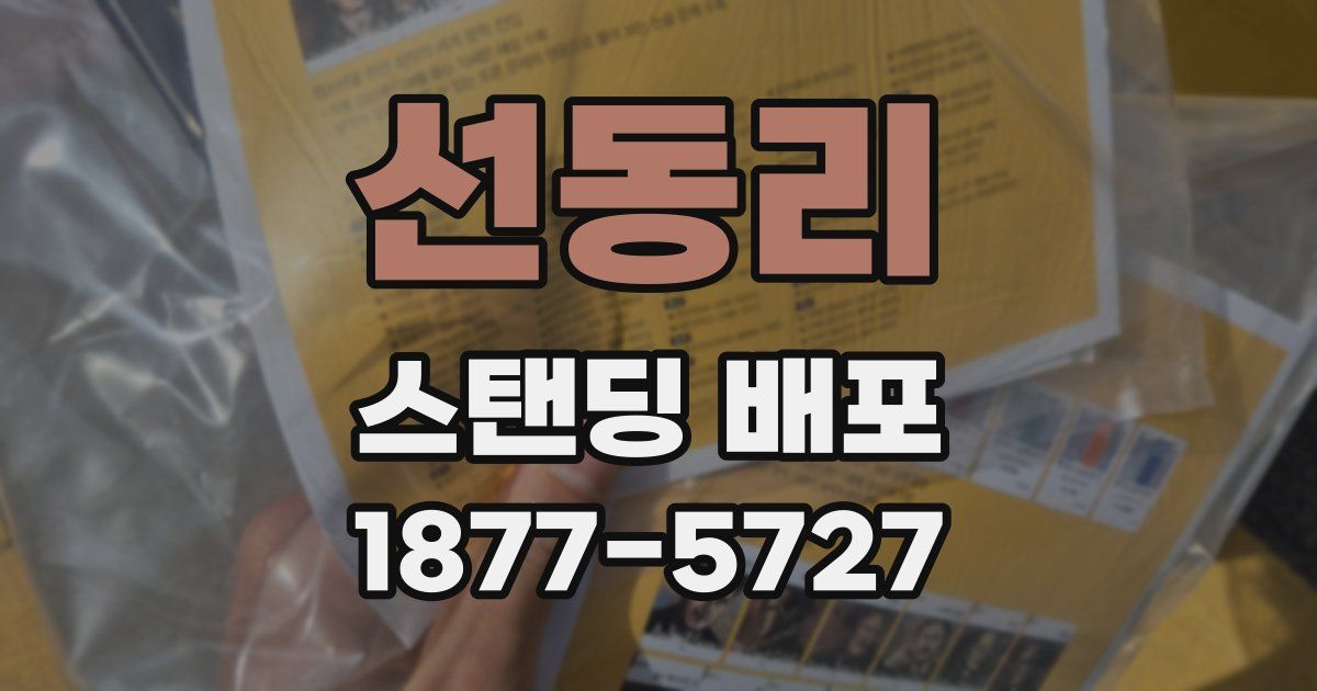 선동리 스탠딩 배포
