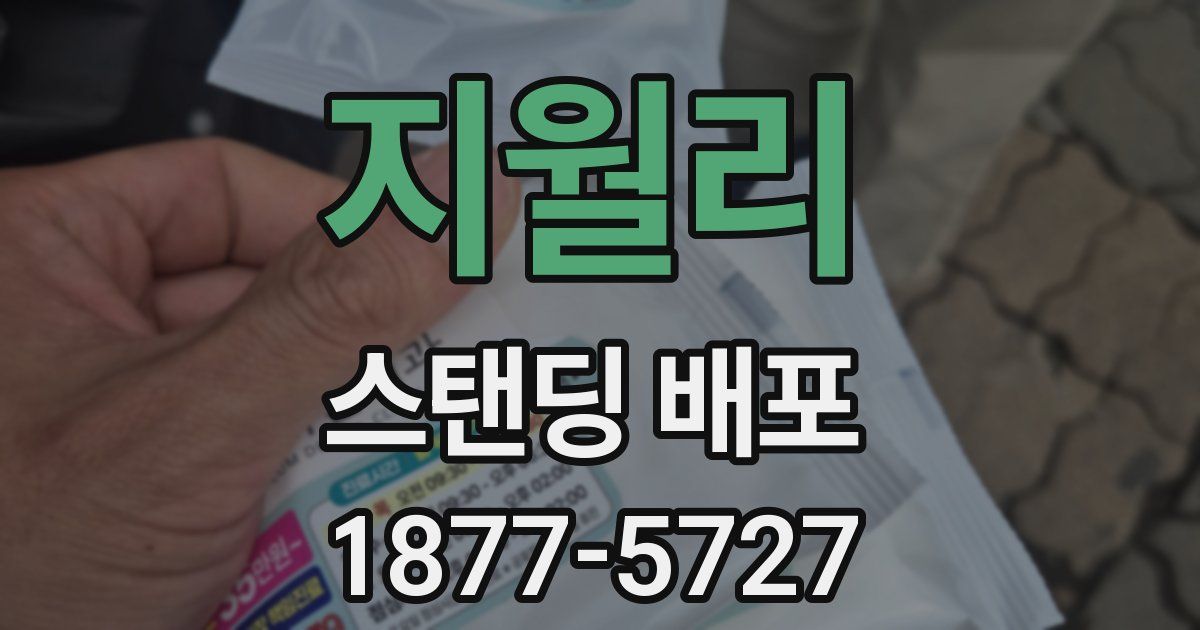 지월리 스탠딩 배포